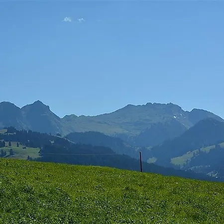 Apartment Schonried Sleeps 12 Wifi *